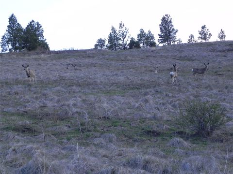 Tiny photo for 87 Hideaway Lane, Cascade, MT 59421 (MLS # 30069077)