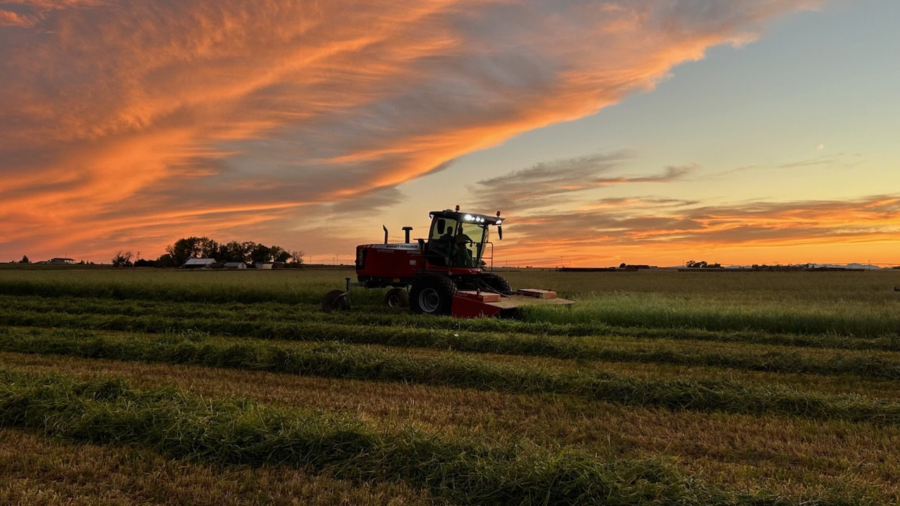 1176 County Line Road