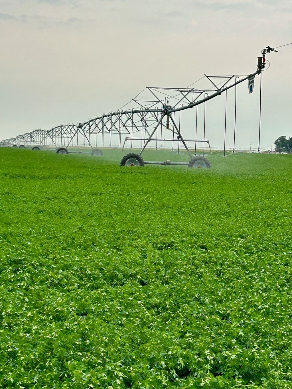 Photo of 1176 County Line Road, Fort Shaw, MT 59443 (MLS # 30061666)