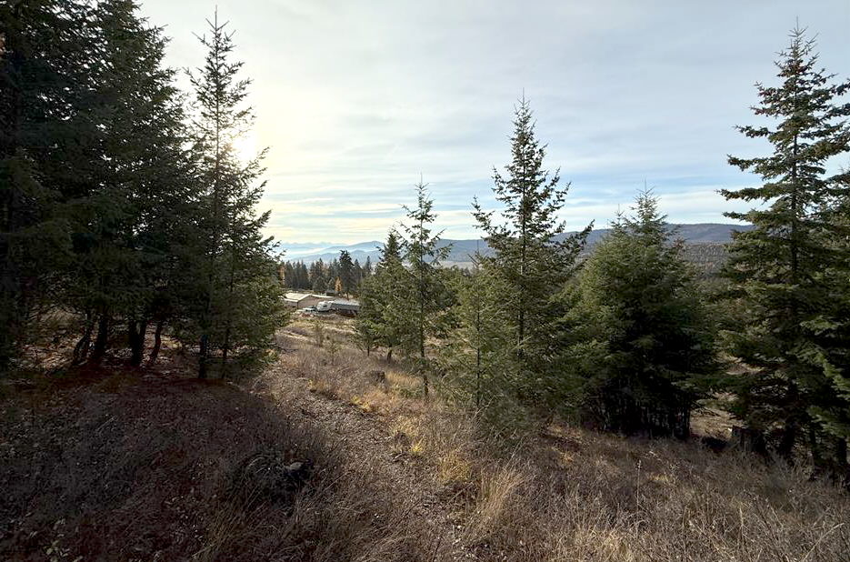 19649 Golden Pine Lane