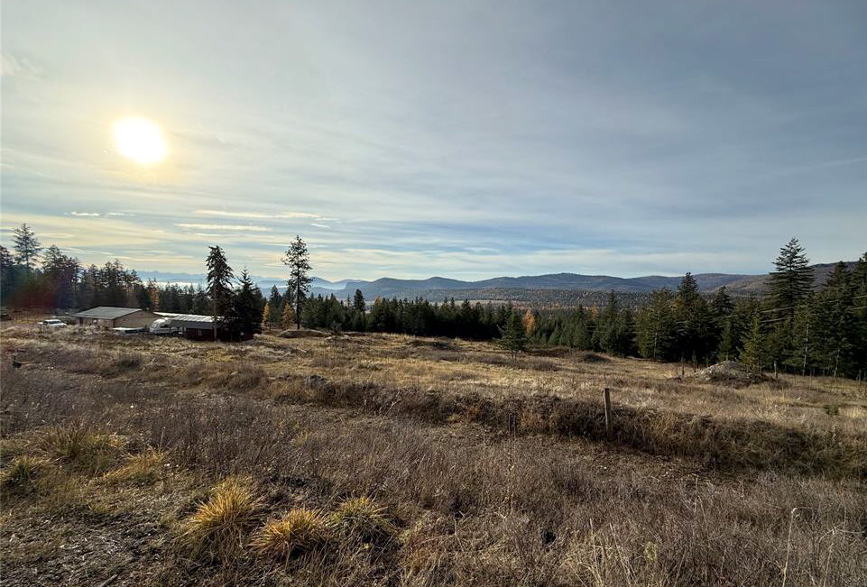 19649 Golden Pine Lane