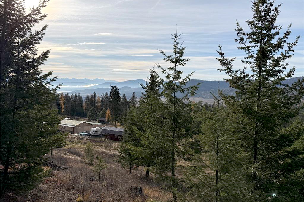 19649 Golden Pine Lane