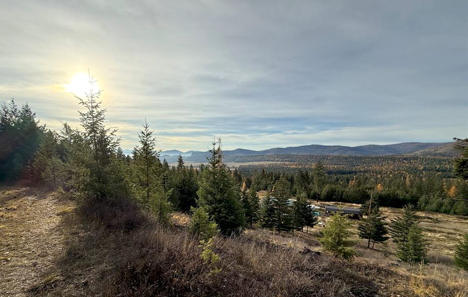 19649 Golden Pine Lane