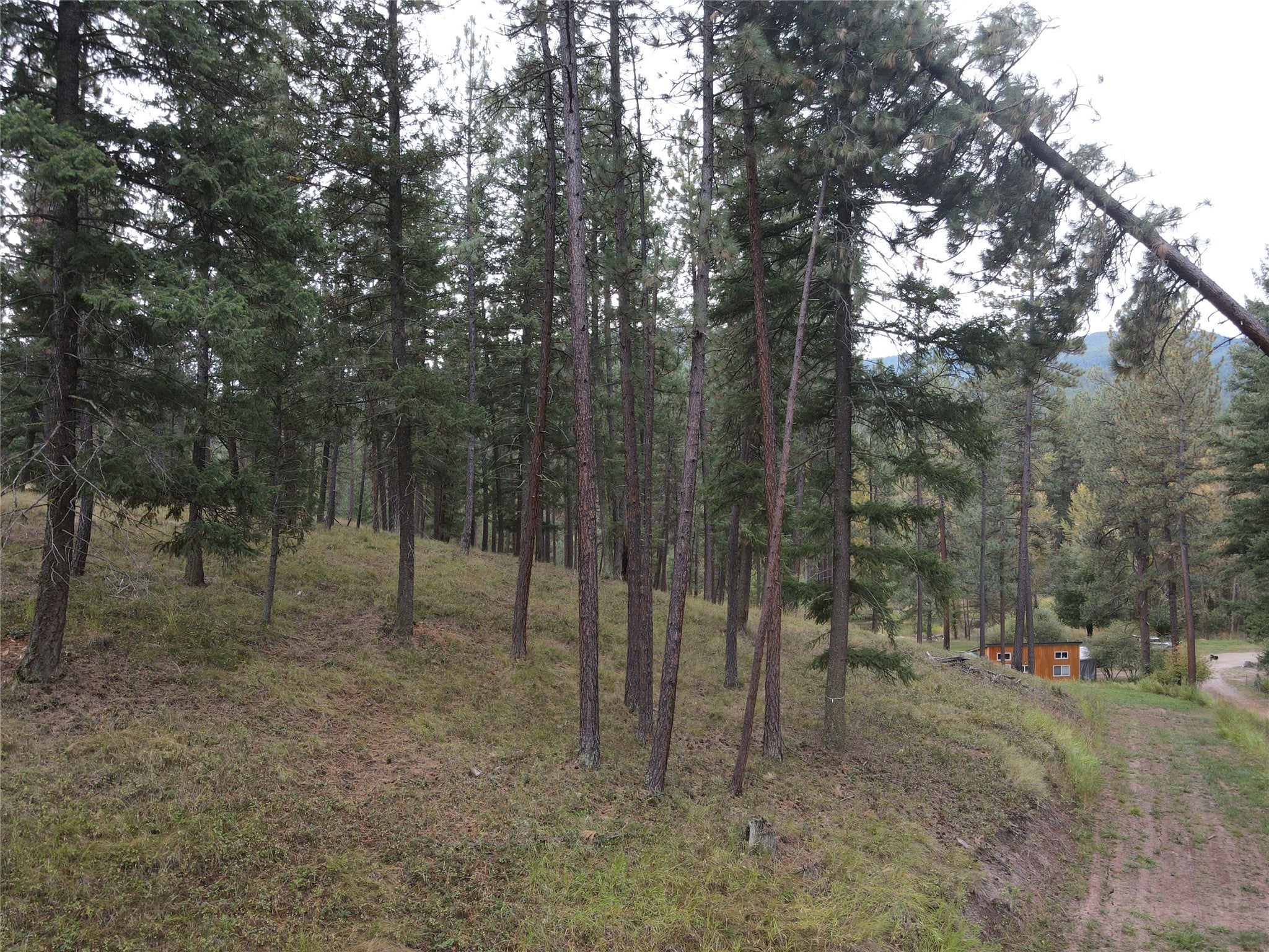 21481 Nine Mile Road