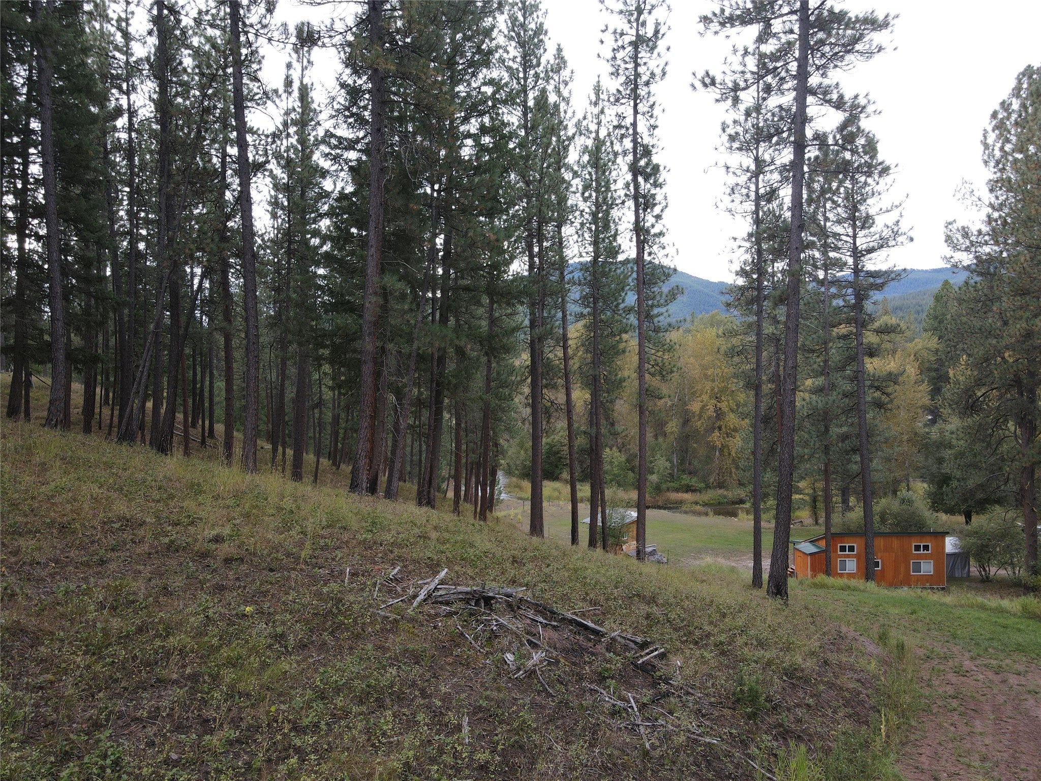 21481 Nine Mile Road