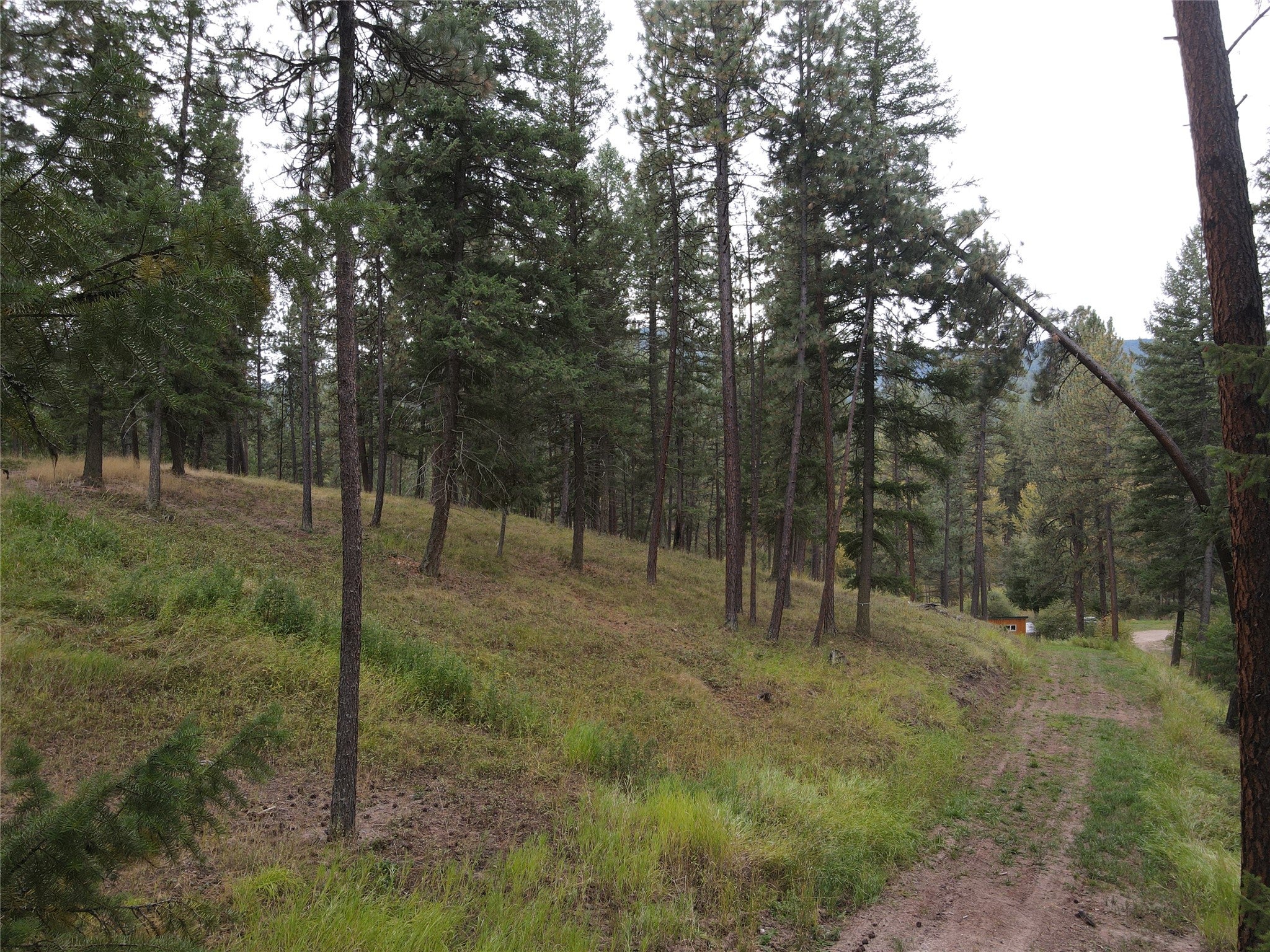 21481 Nine Mile Road