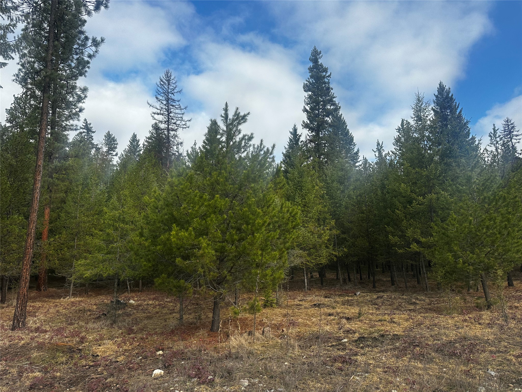 NHN Graves Creek Loop