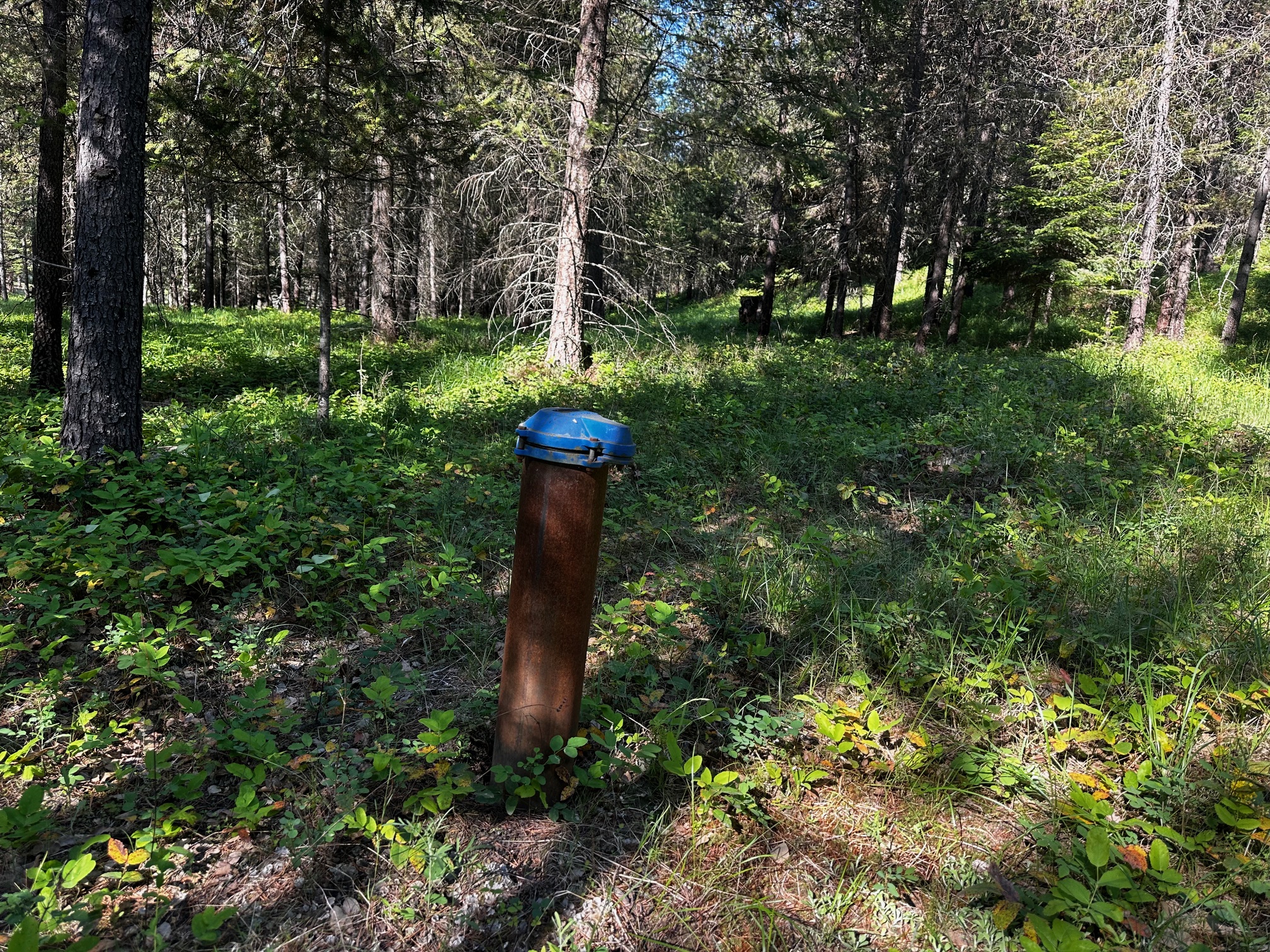 NHN Graves Creek Loop