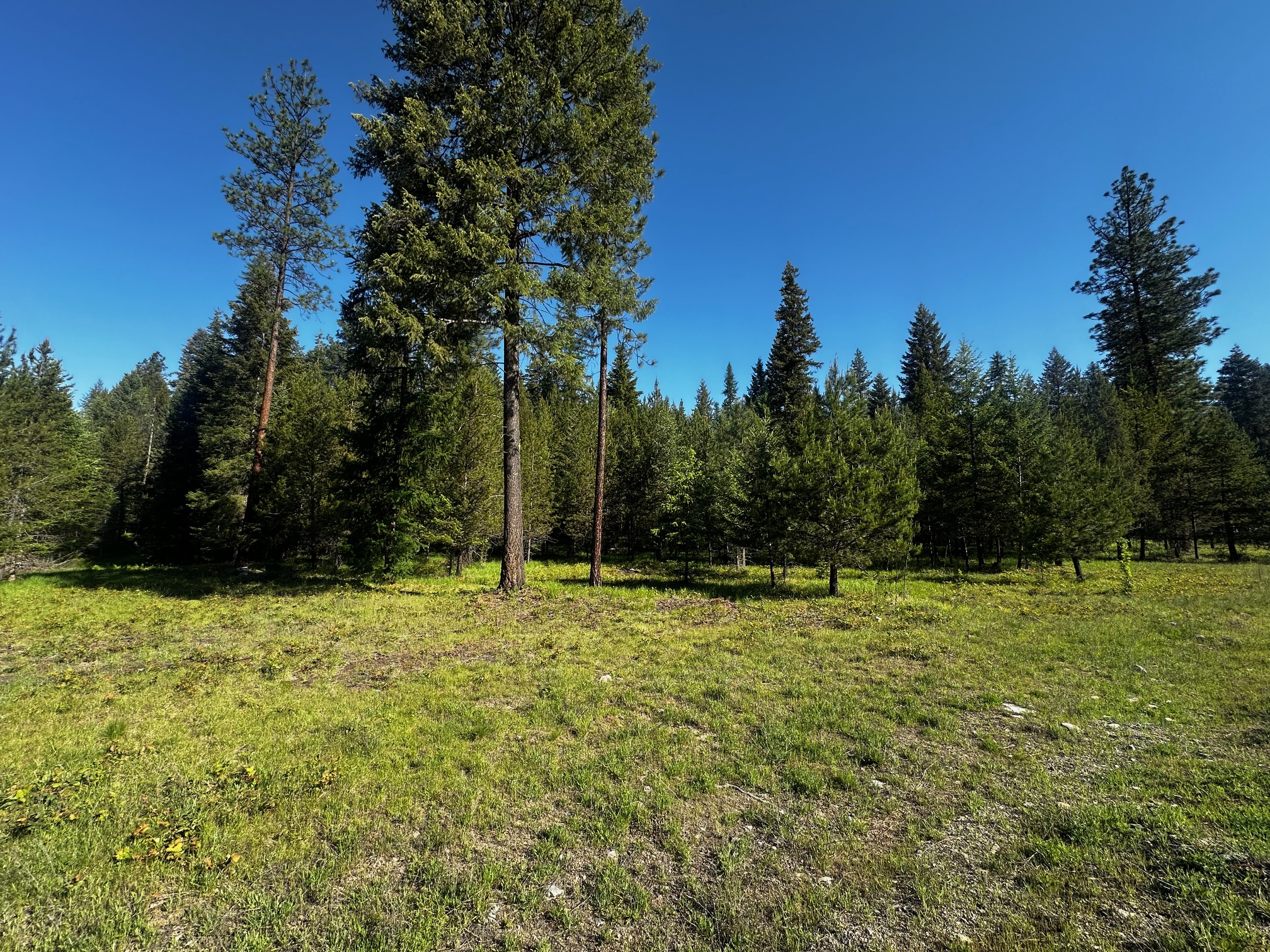 NHN Graves Creek Loop