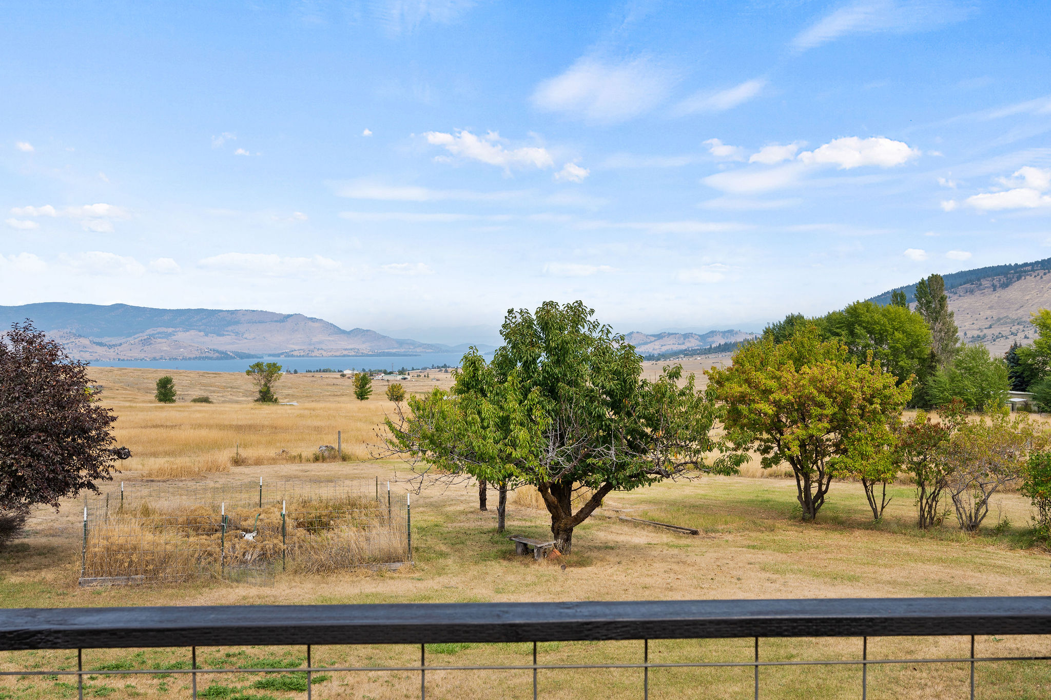 30543 Walking Horse Lane