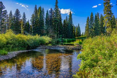 Photo of NHN Route 83, Seeley Lake, MT 59868 (MLS # 30065787)