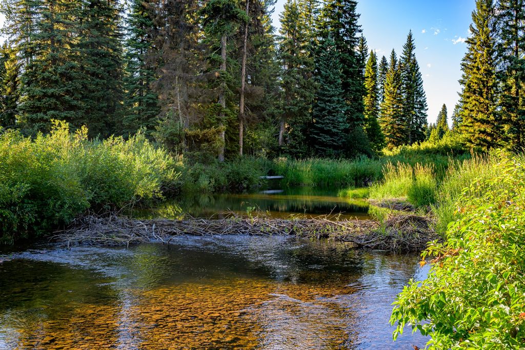 Photo of NHN Route 83, Seeley Lake, MT 59868 (MLS # 30065787)