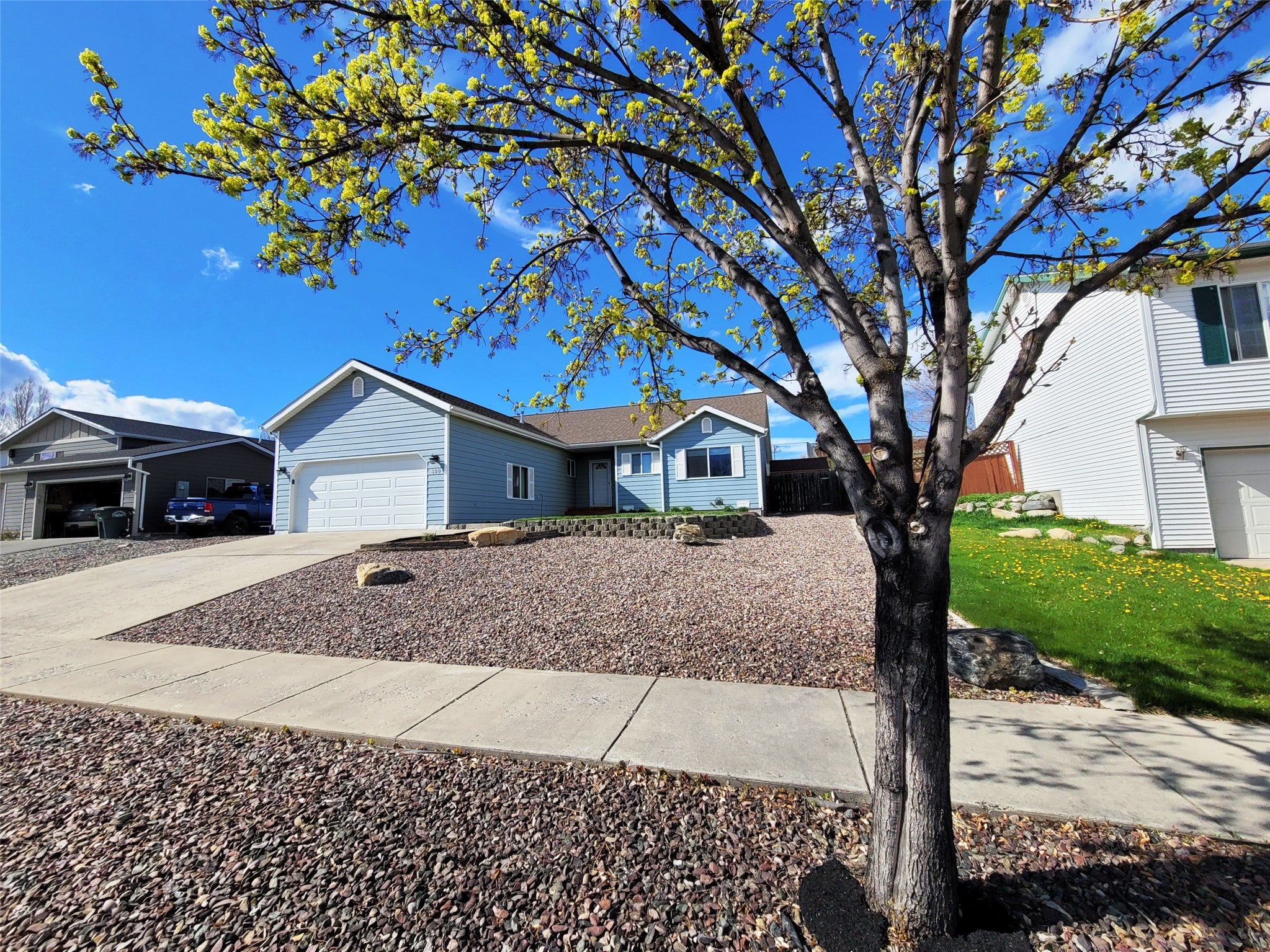 320 Buttercup Loop