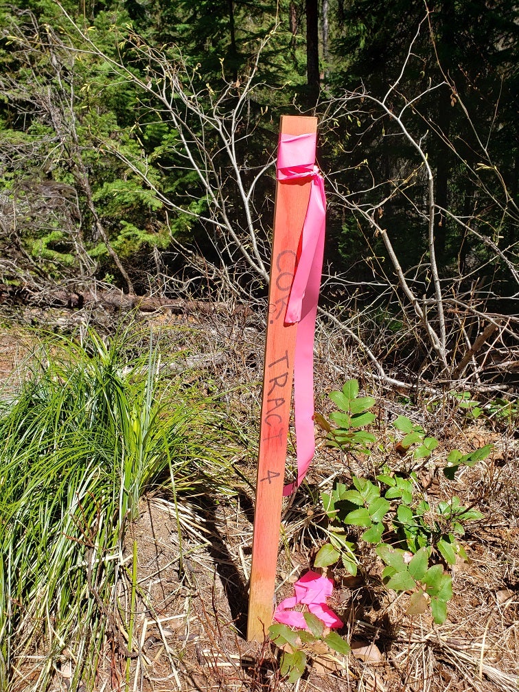 Tract 4 Nine Mile Road