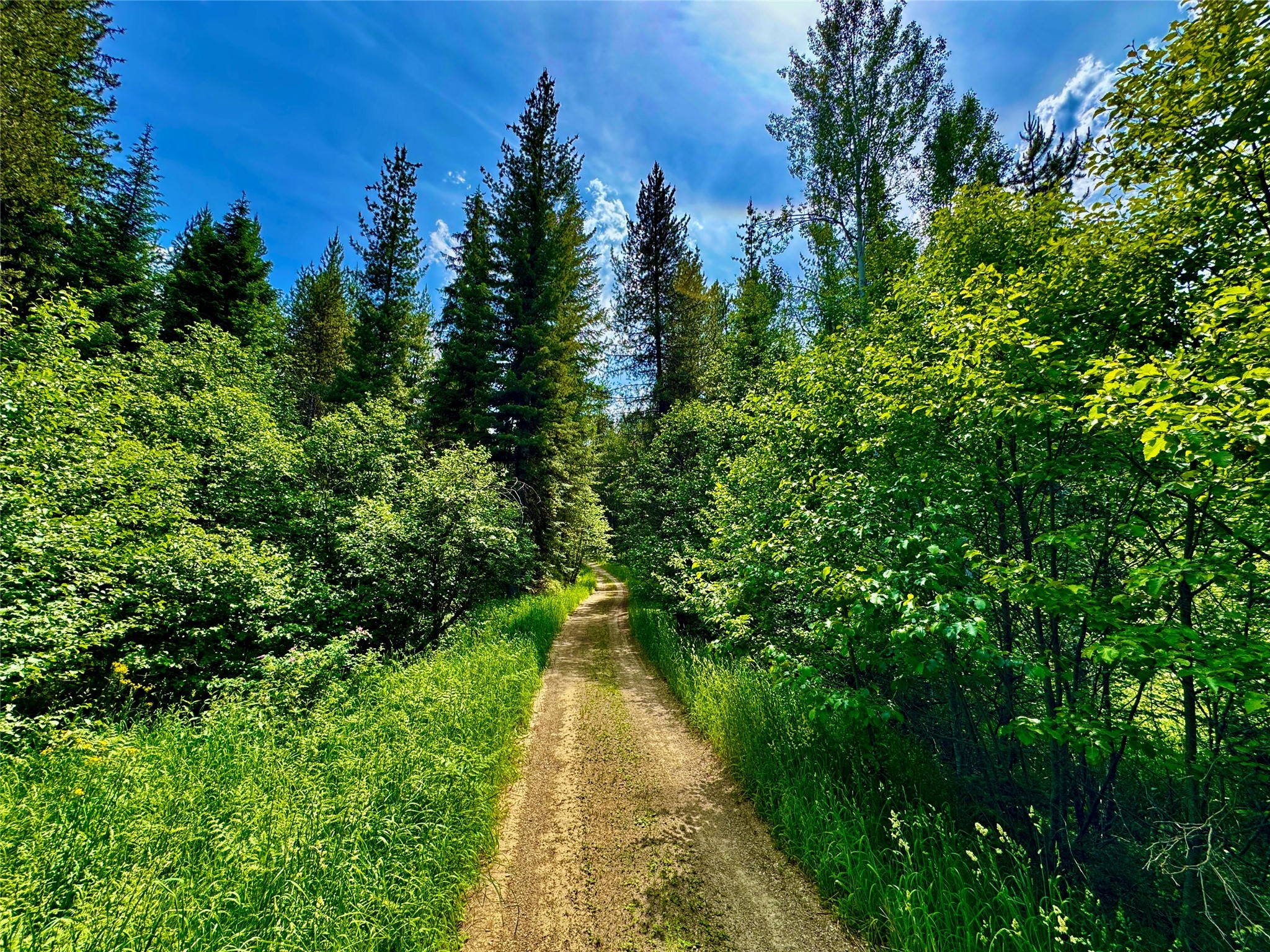 17 Twenty Peak Gulch Lane