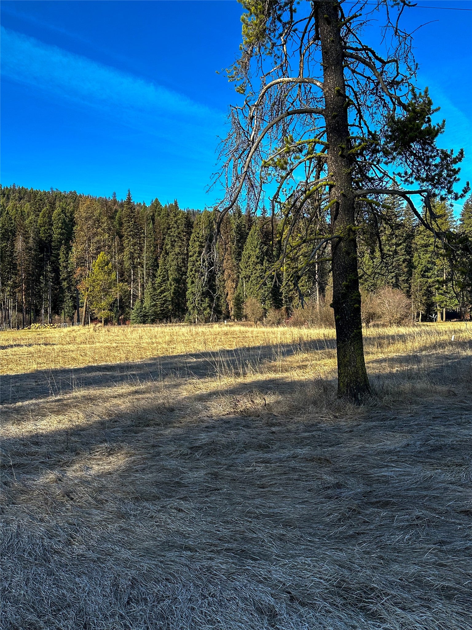 2785 MT Hwy 83