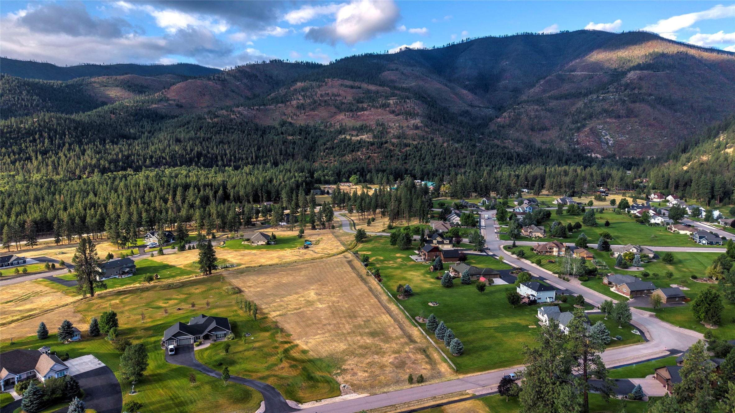 12196 Cowcatcher Drive