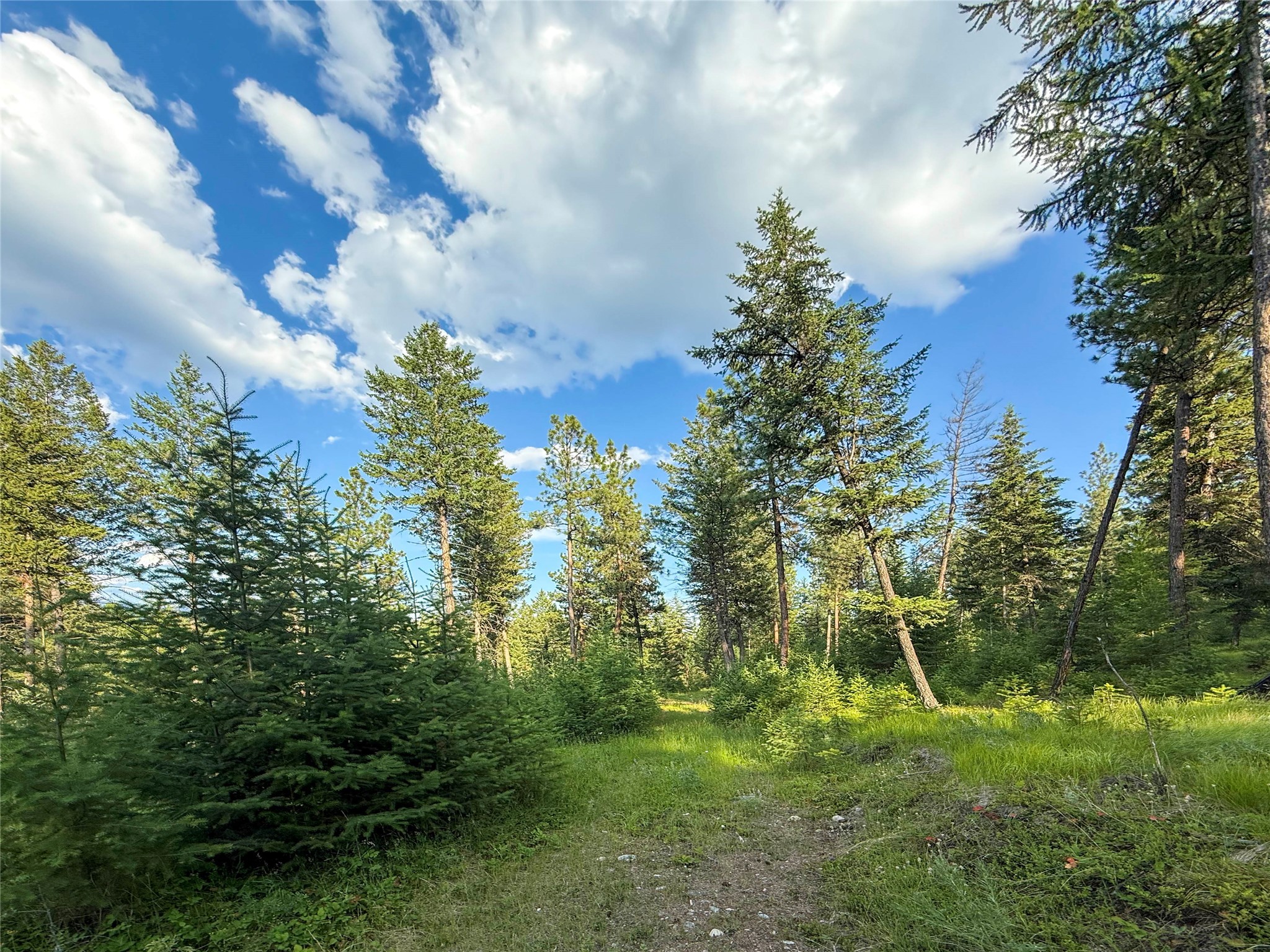 148 Tiny Acres Trail