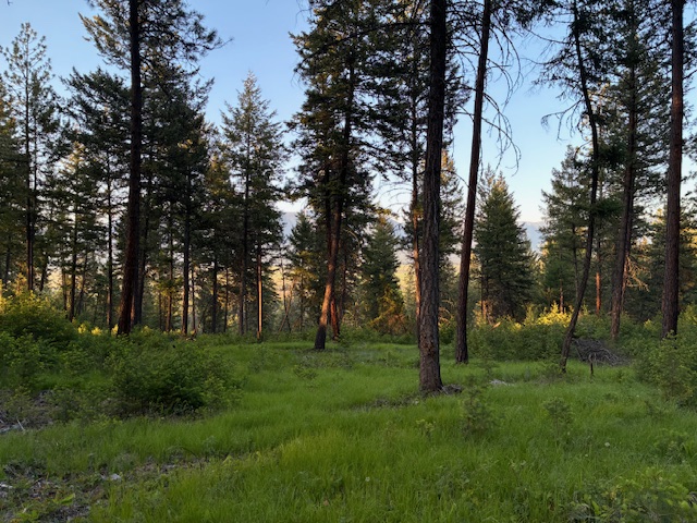 148 Tiny Acres Trail