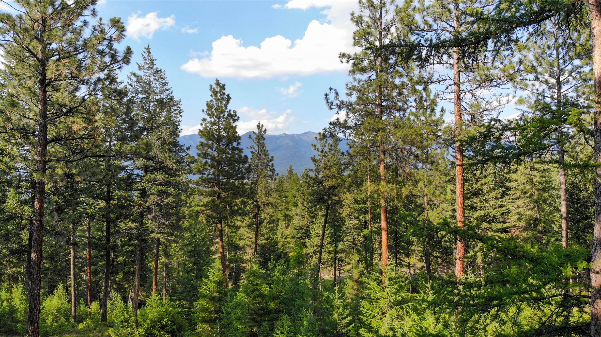 148 Tiny Acres Trail