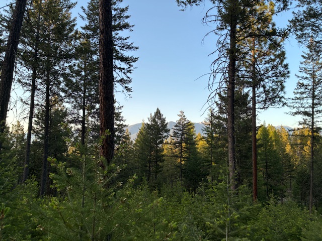 148 Tiny Acres Trail