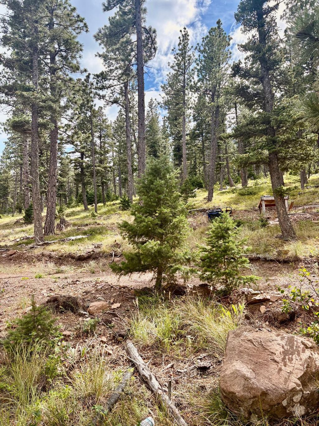 Photo of 4535 Little Wolf Creek Road, Wolf Creek, MT 59648 (MLS # 30060521)