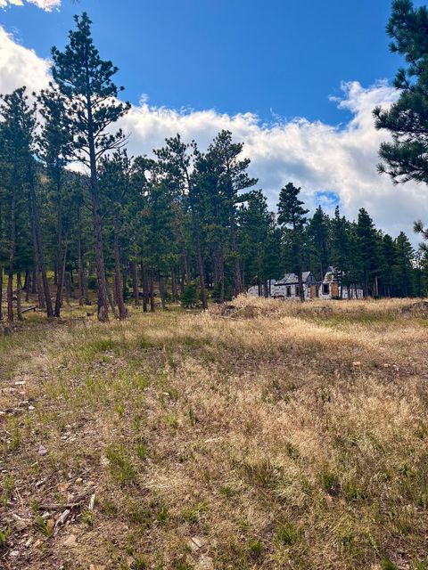 Photo of 4535 Little Wolf Creek Road, Wolf Creek, MT 59648 (MLS # 30060521)