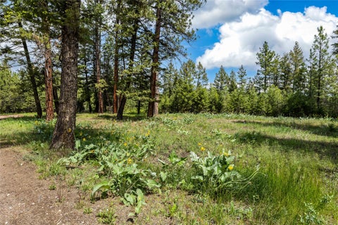 Tiny photo for 1762 Copper Cliff Drive, Bonner, MT 59823 (MLS # 30066412)