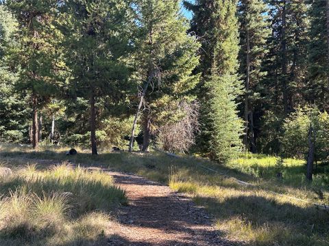 Tiny photo for 975 Whitetail Drive, Seeley Lake, MT 59868 (MLS # 30070434)