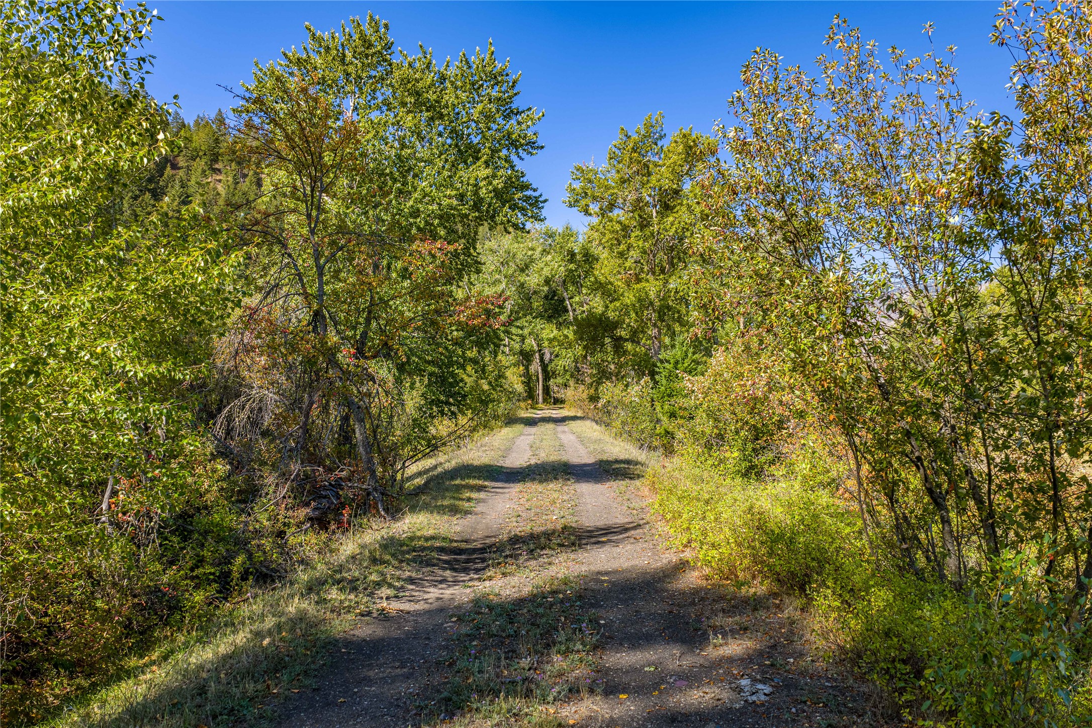 Clinton, Montana 59825, United States, ,Land,Active,214216