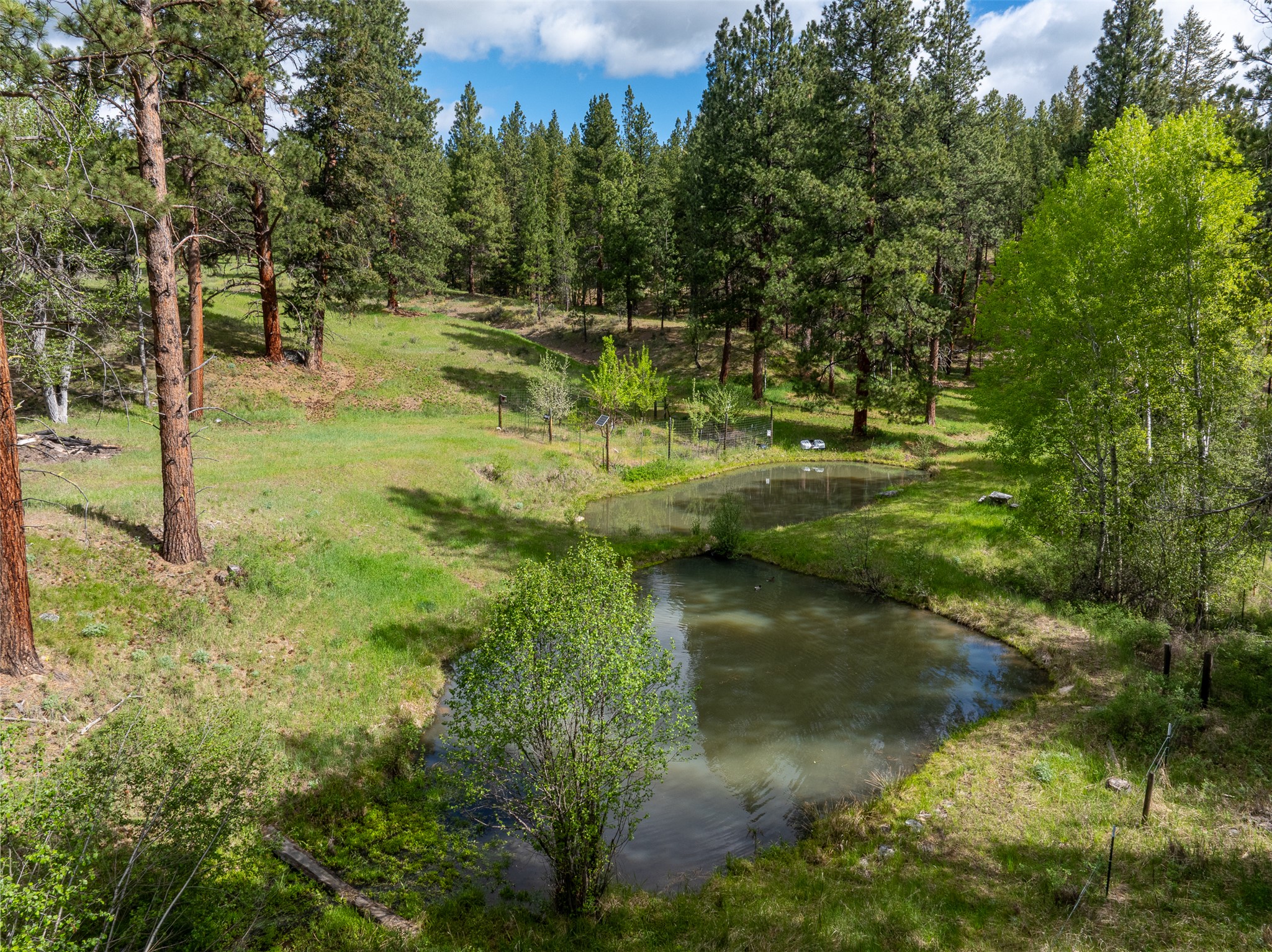 2949 Camp 4 Road