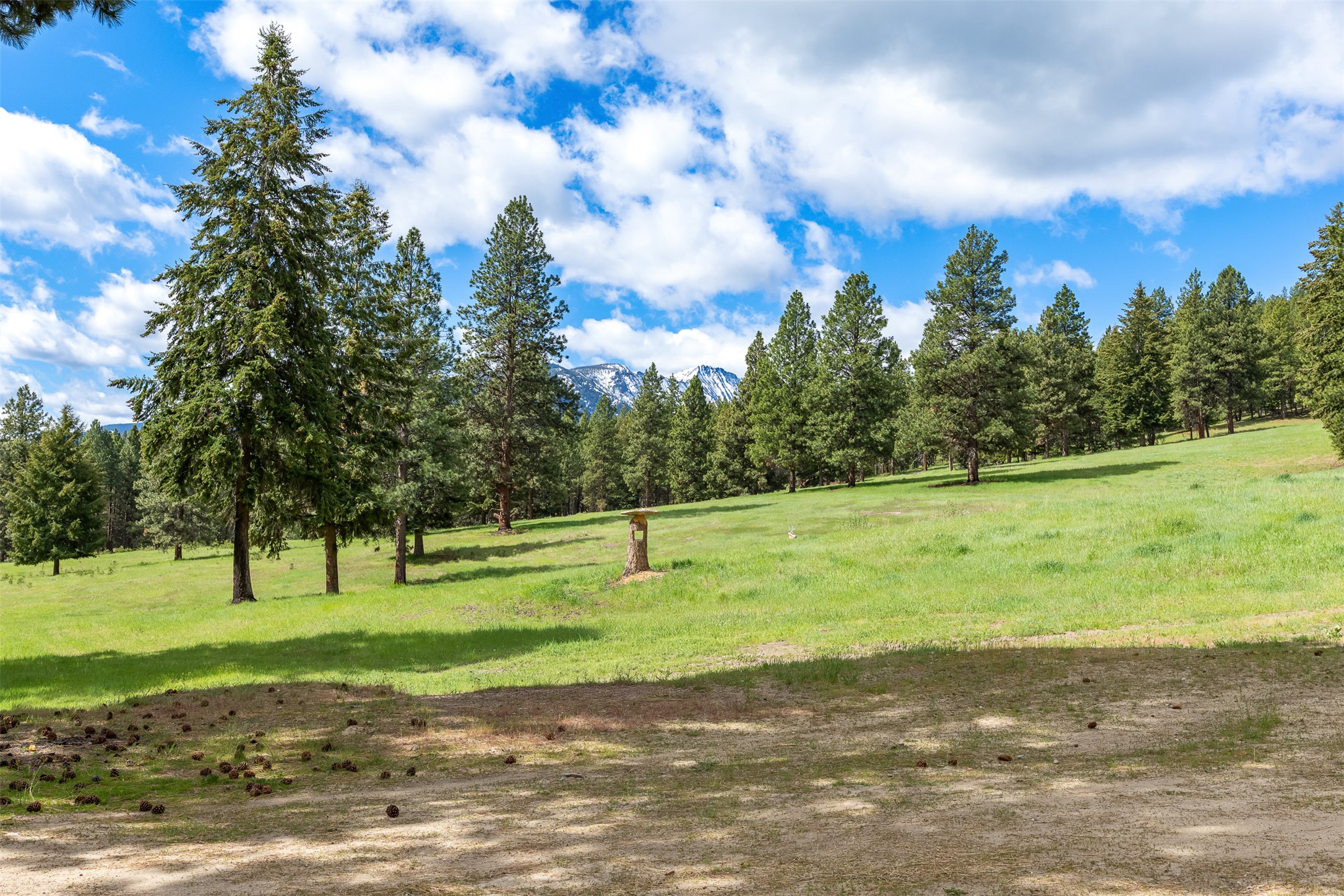 2949 Camp 4 Road