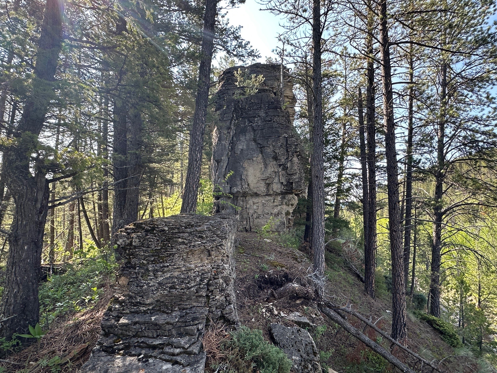 NHN Lot 1 Highway 89 N