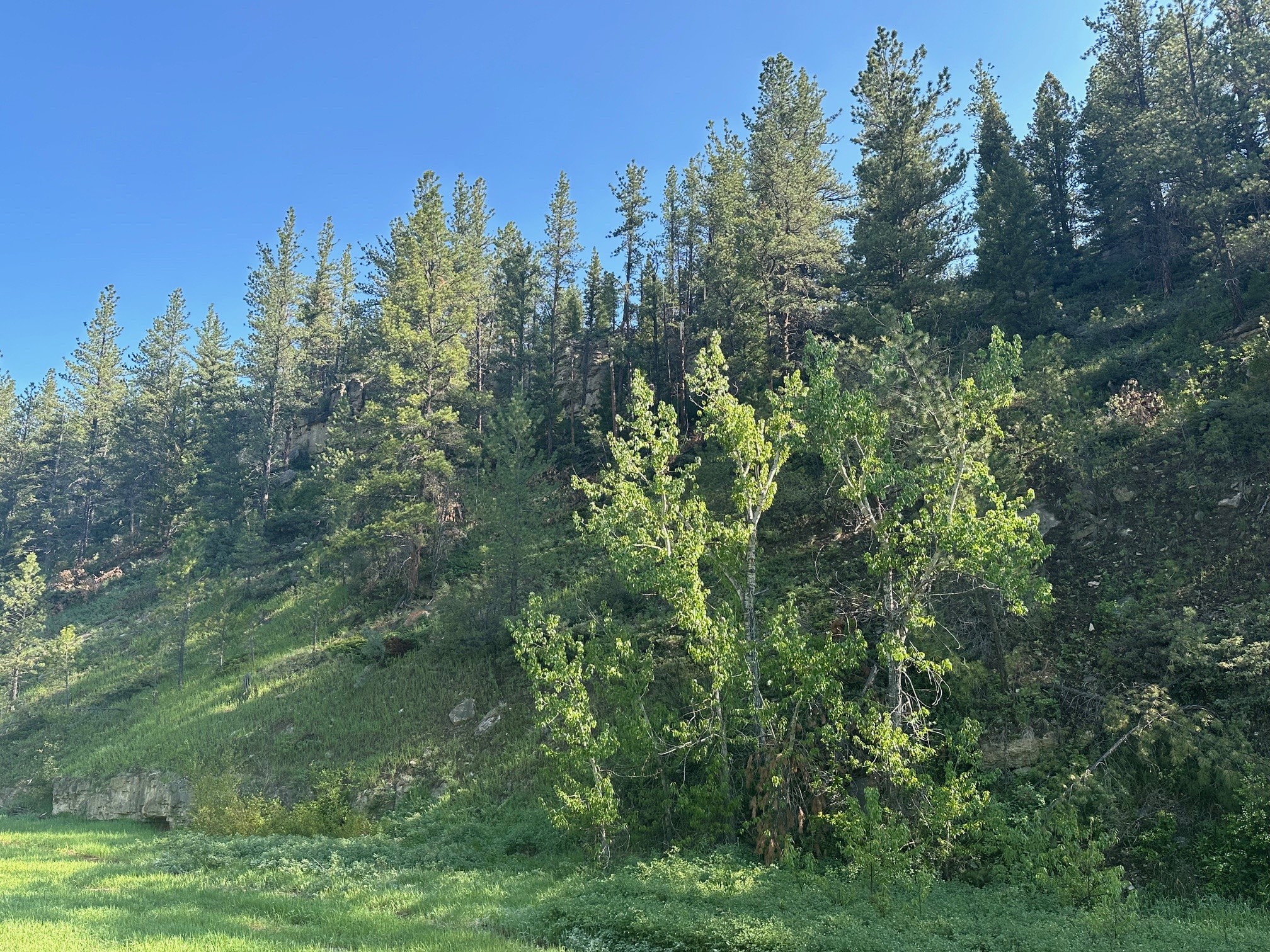 NHN Lot 1 Highway 89 N