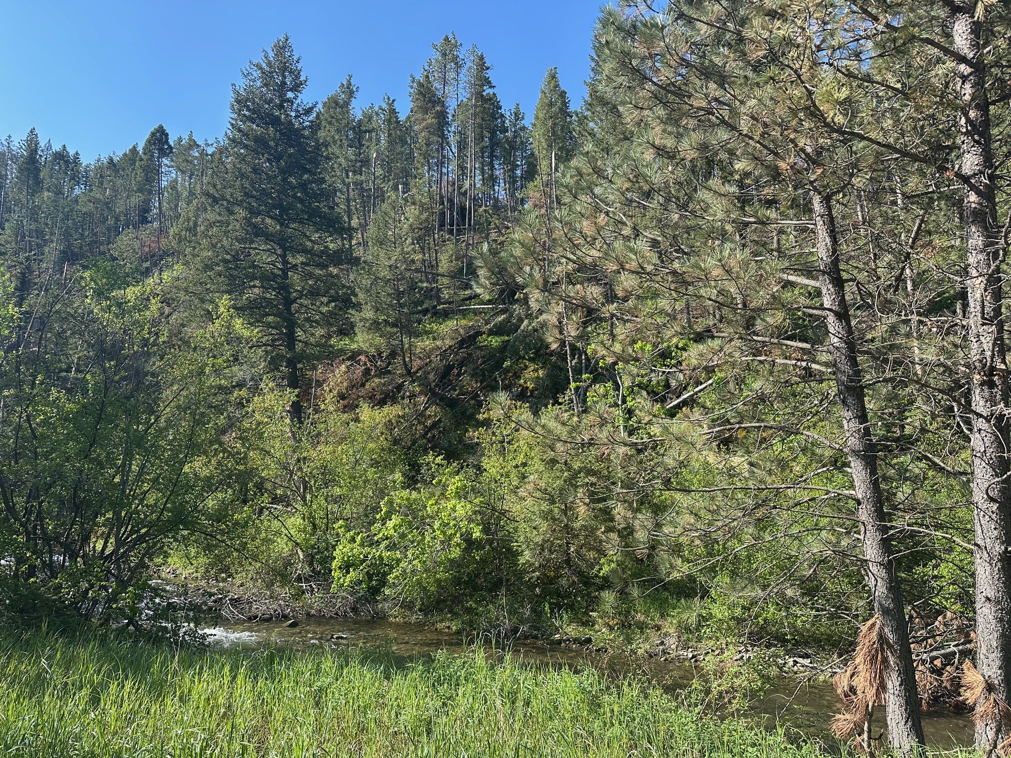 NHN Lot 1 Highway 89 N