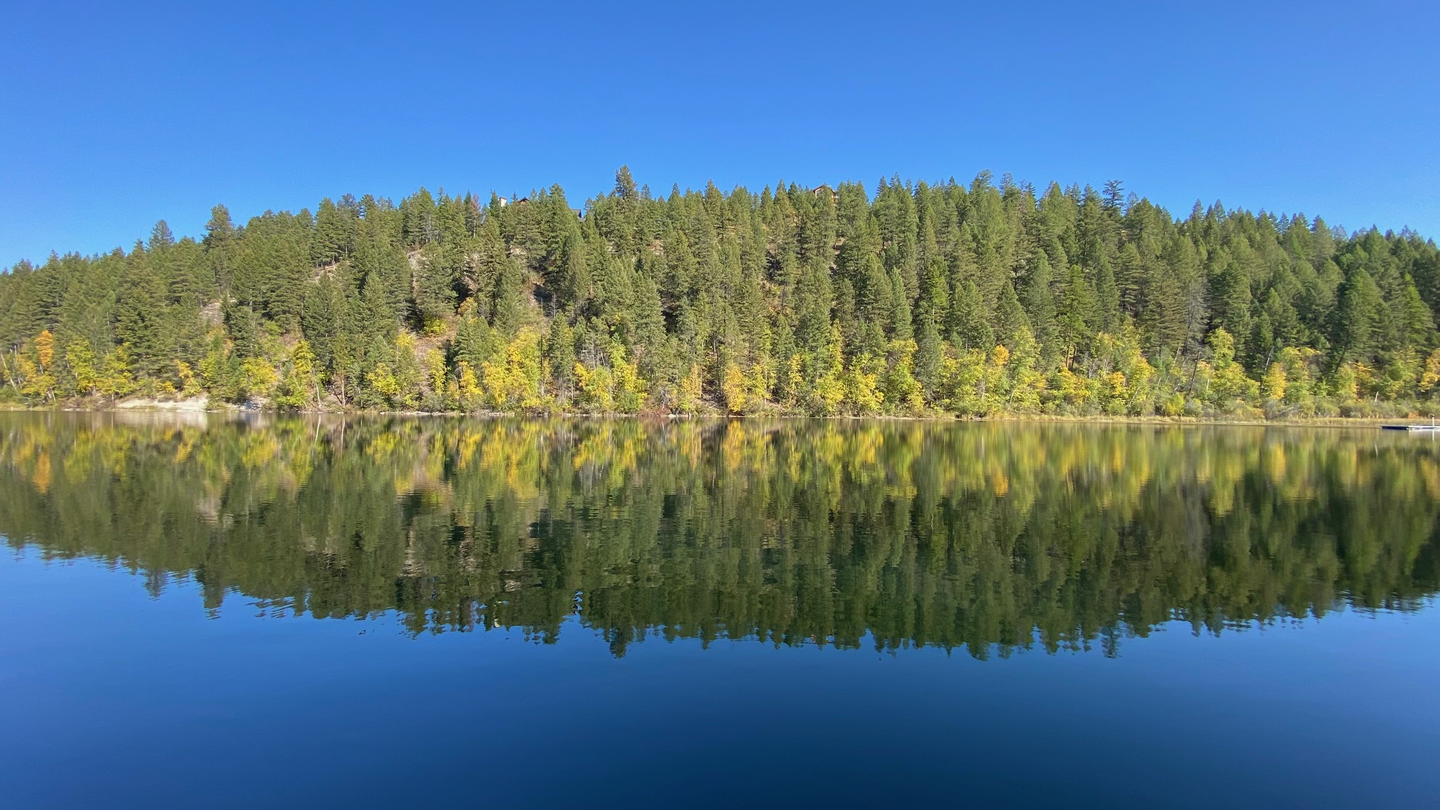 2265 Sasquatch Hollow