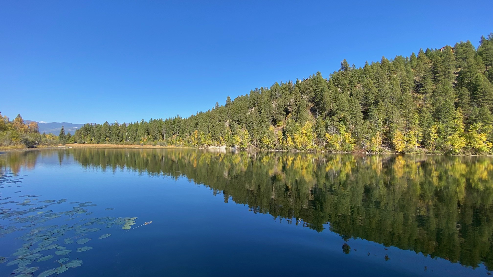 2265 Sasquatch Hollow