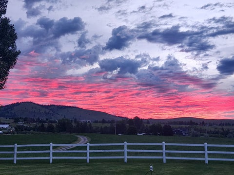 Tiny photo for 41547 Flathead View Drive, Polson, MT 59860 (MLS # 30076339)