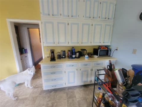 Tiny photo for 528 S 5th Street W, Missoula, MT 59801 (MLS # 30072345)