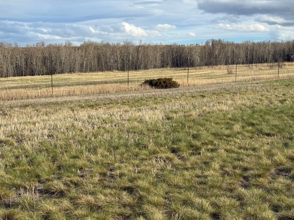 Photo of NHN US Hwy 212, Red Lodge, MT 59068 (MLS # 30069065)