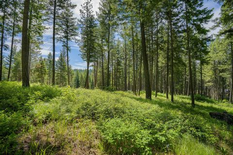 Tiny photo for 369 Chief Cliff Trail, Bigfork, MT 59911 (MLS # 30070235)
