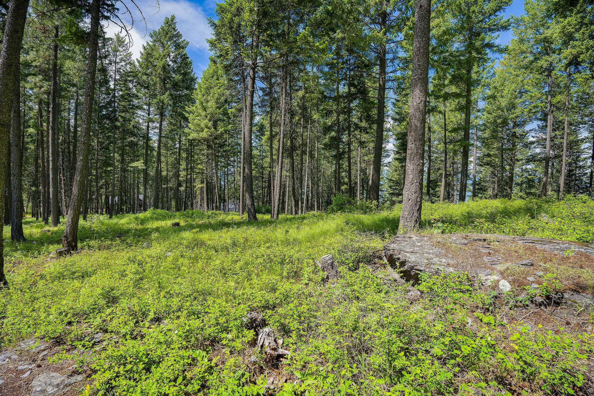 369 Chief Cliff Trail