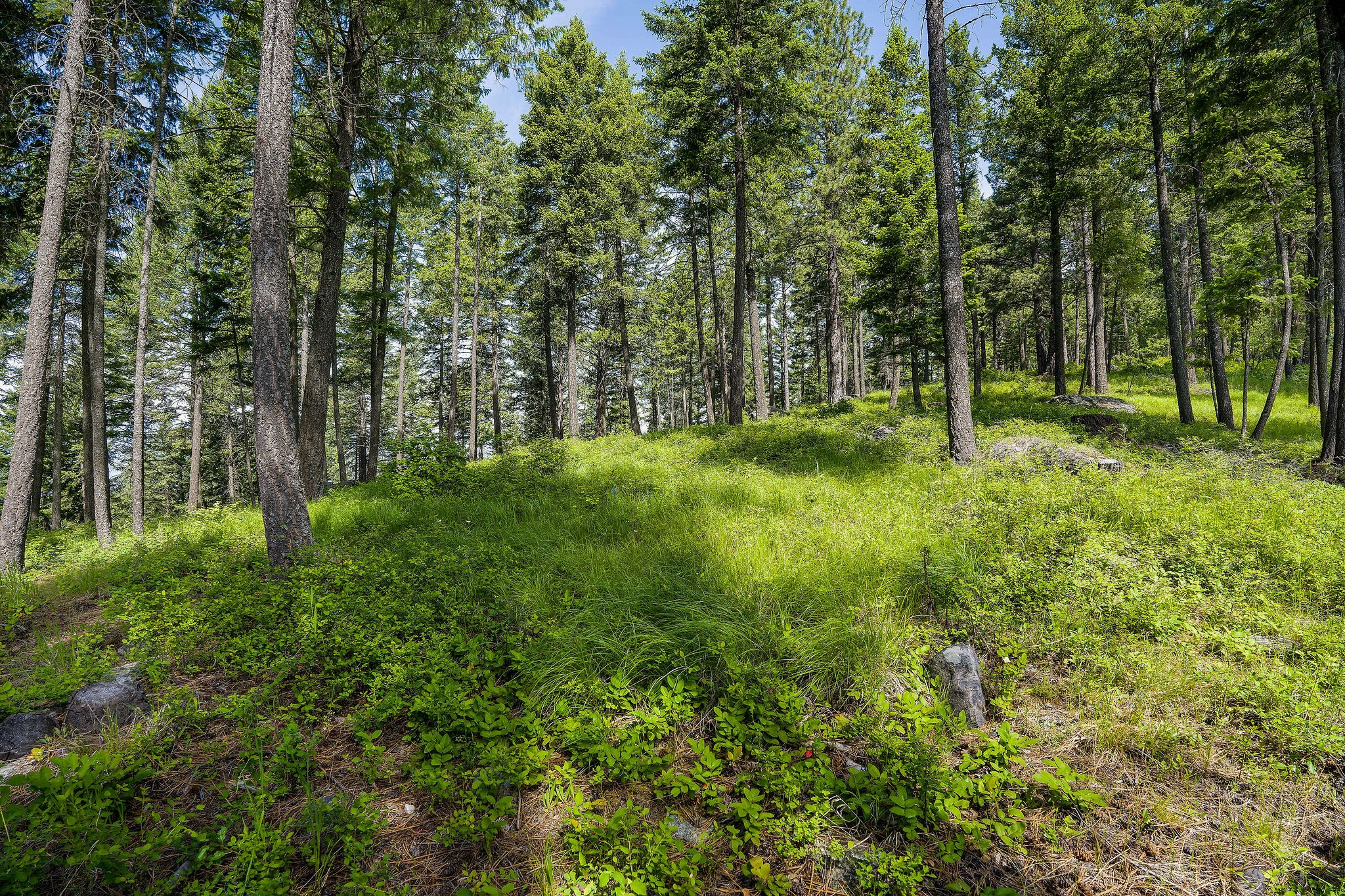 369 Chief Cliff Trail