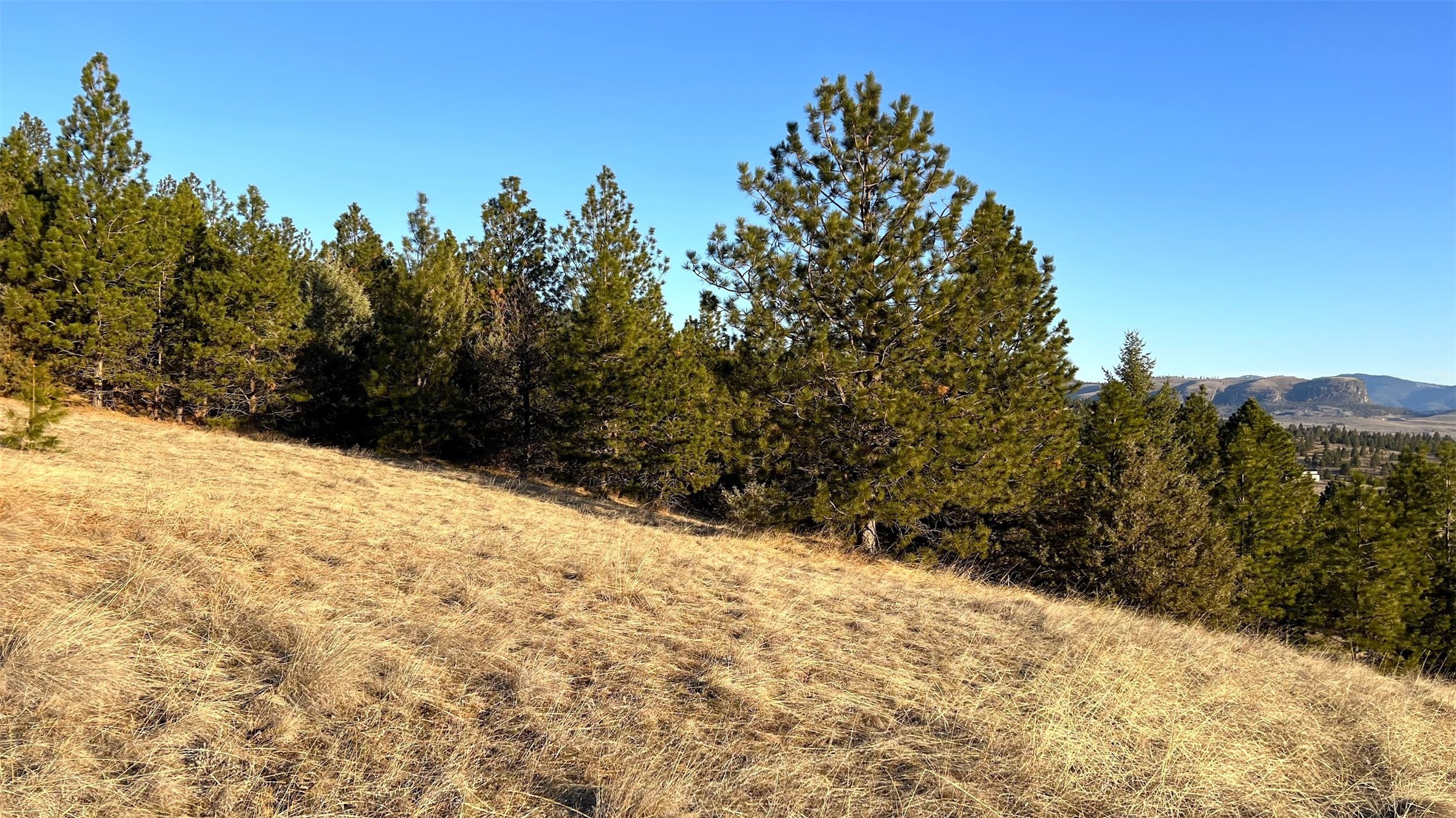 Big Arm, Montana 59910, United States, ,Land,Pending,62329