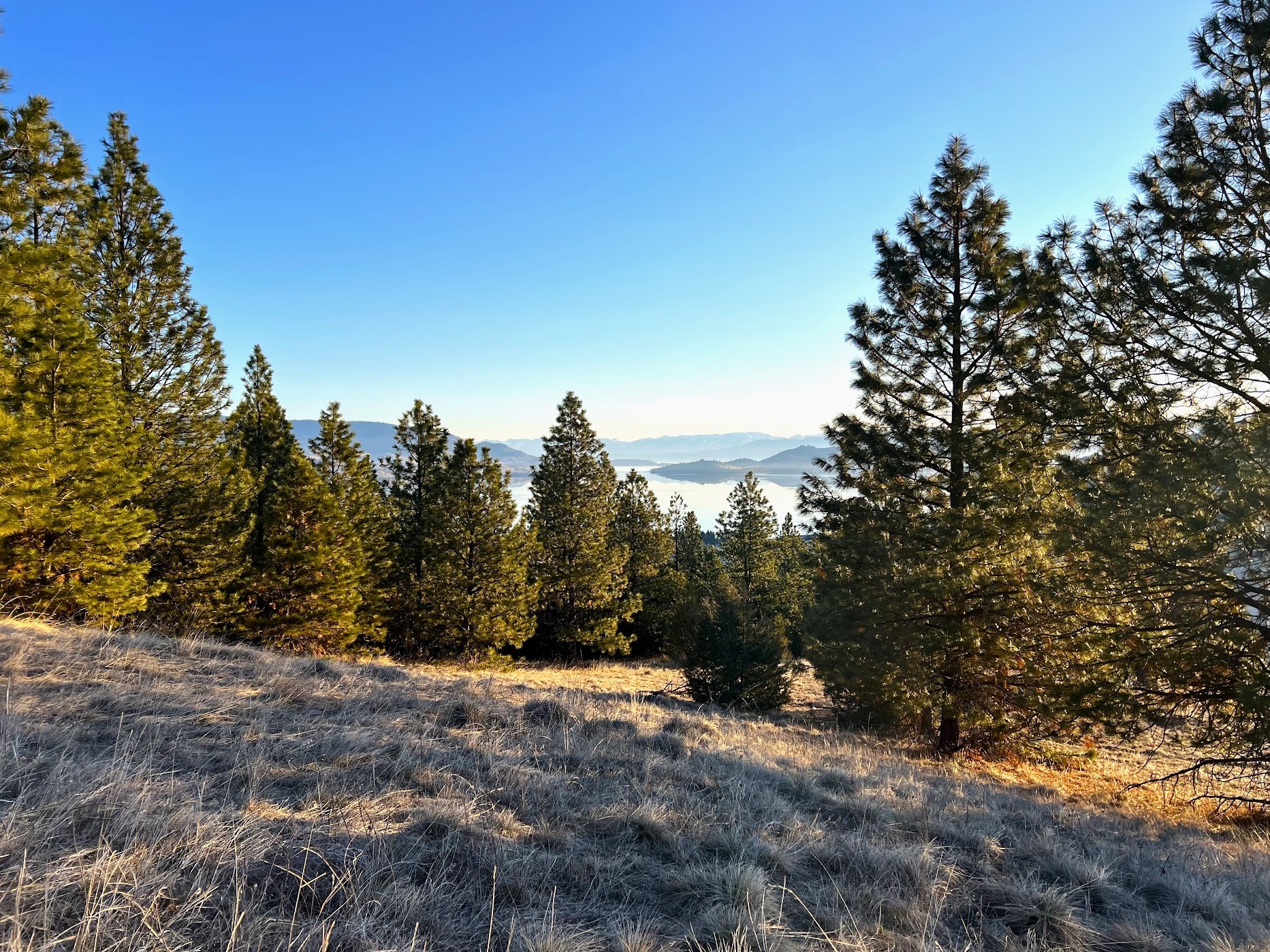 Big Arm, Montana 59910, United States, ,Land,Pending,62329