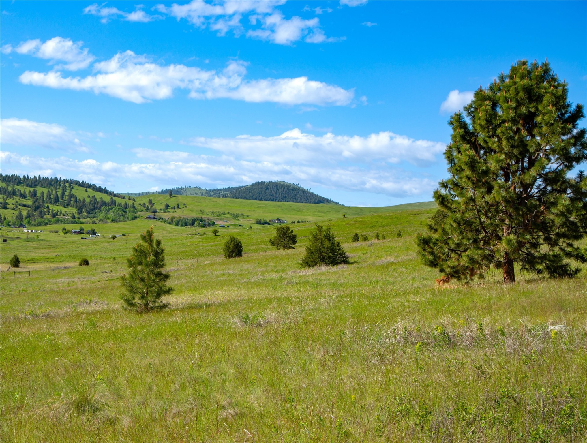 Big Arm, Montana 59910, United States, ,Land,Pending,62329