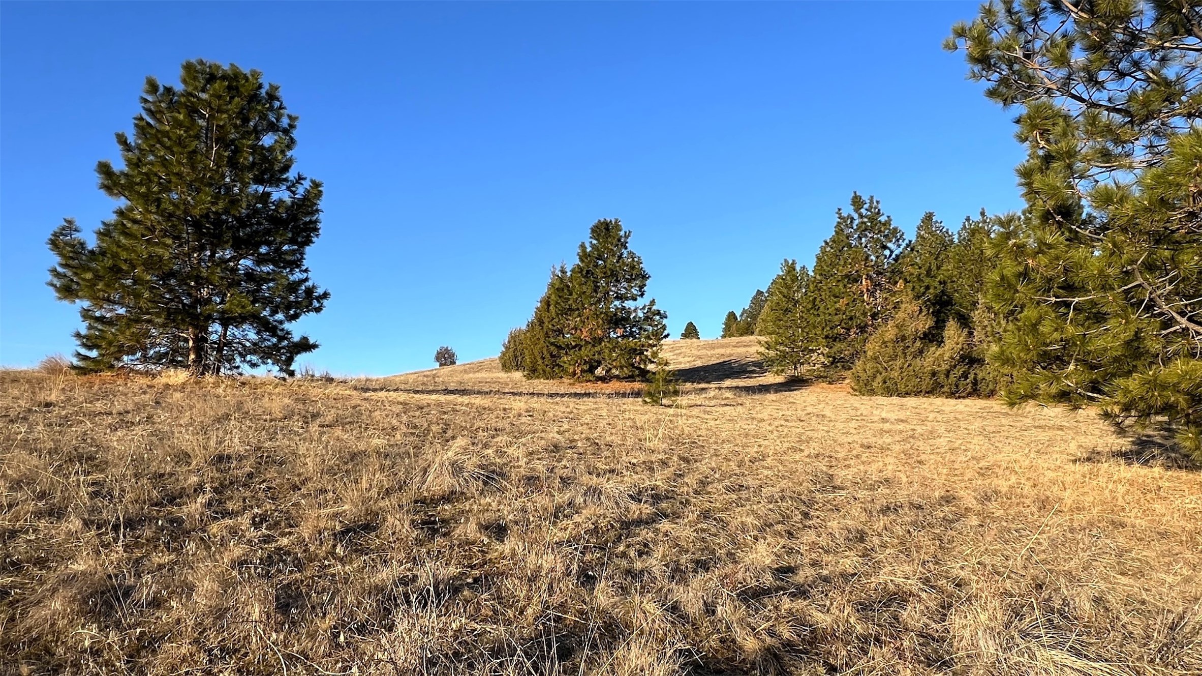 Big Arm, Montana 59910, United States, ,Land,Pending,62329