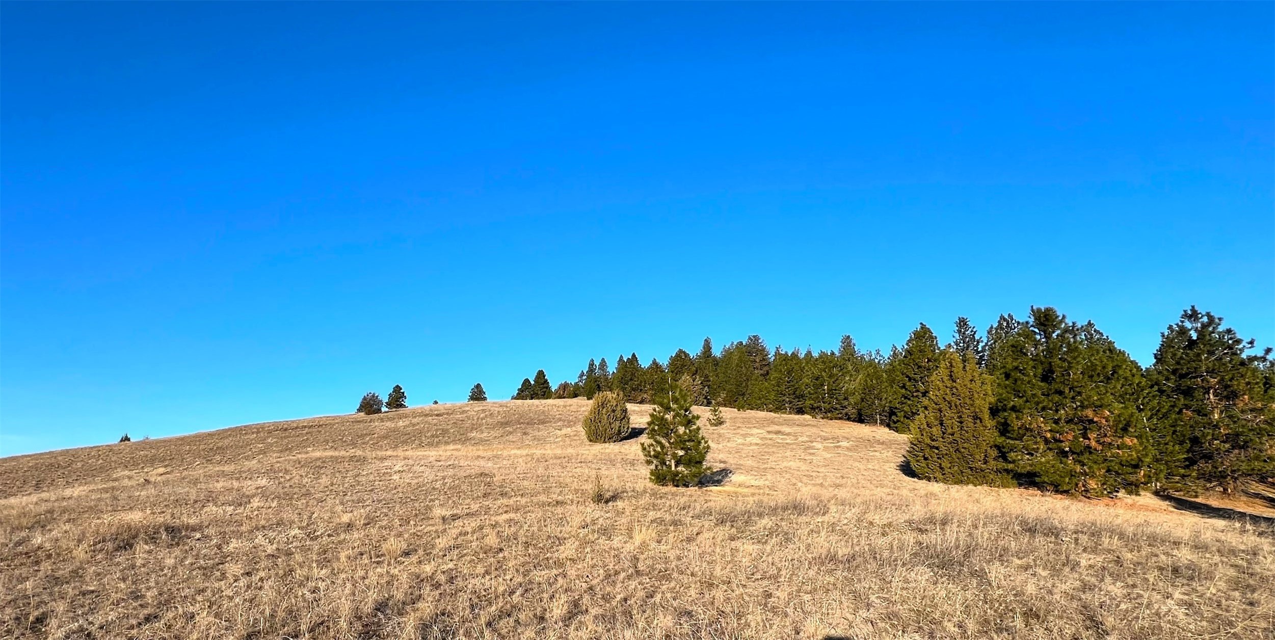 Big Arm, Montana 59910, United States, ,Land,Pending,62329