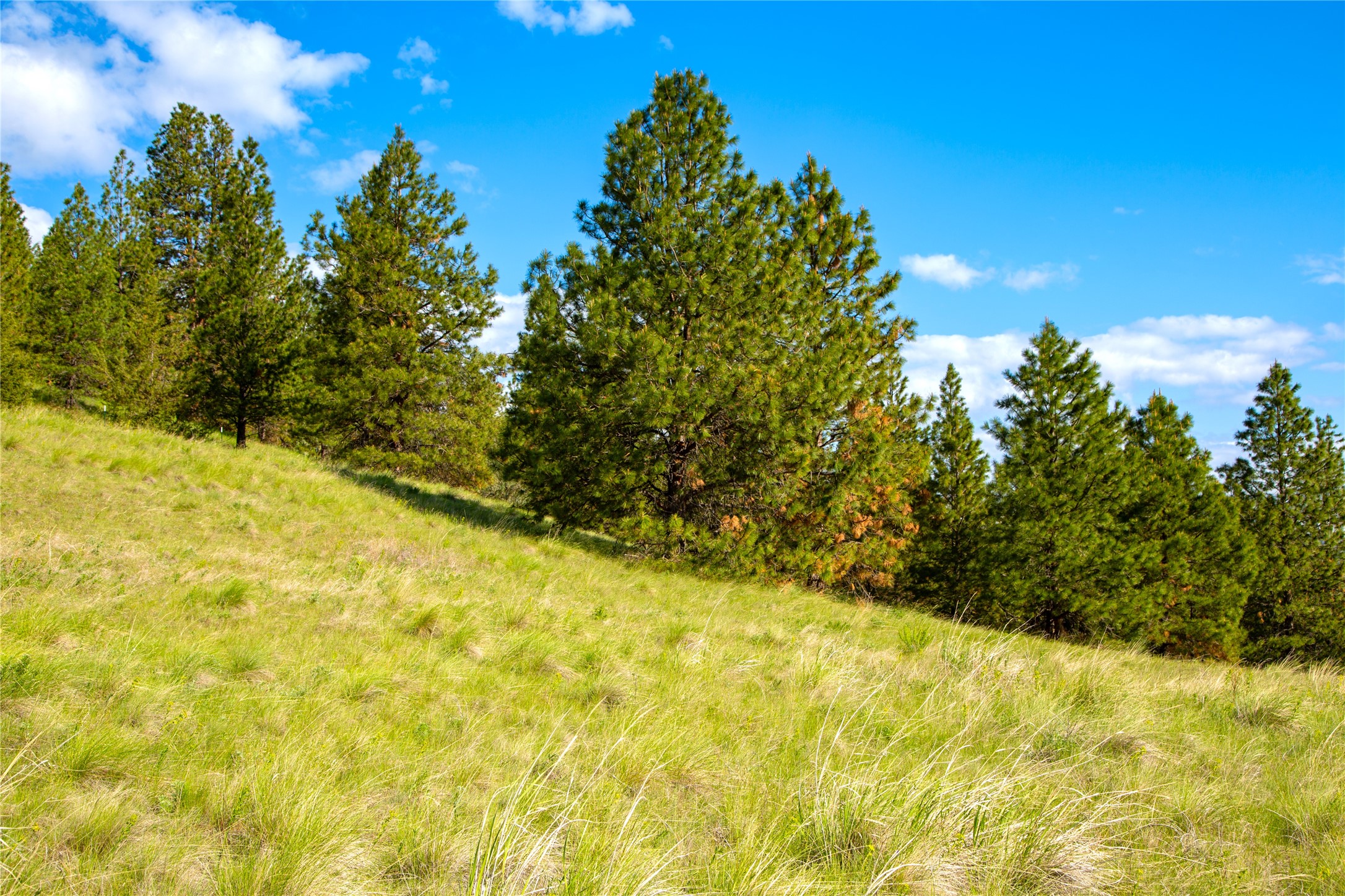 Big Arm, Montana 59910, United States, ,Land,Pending,62329