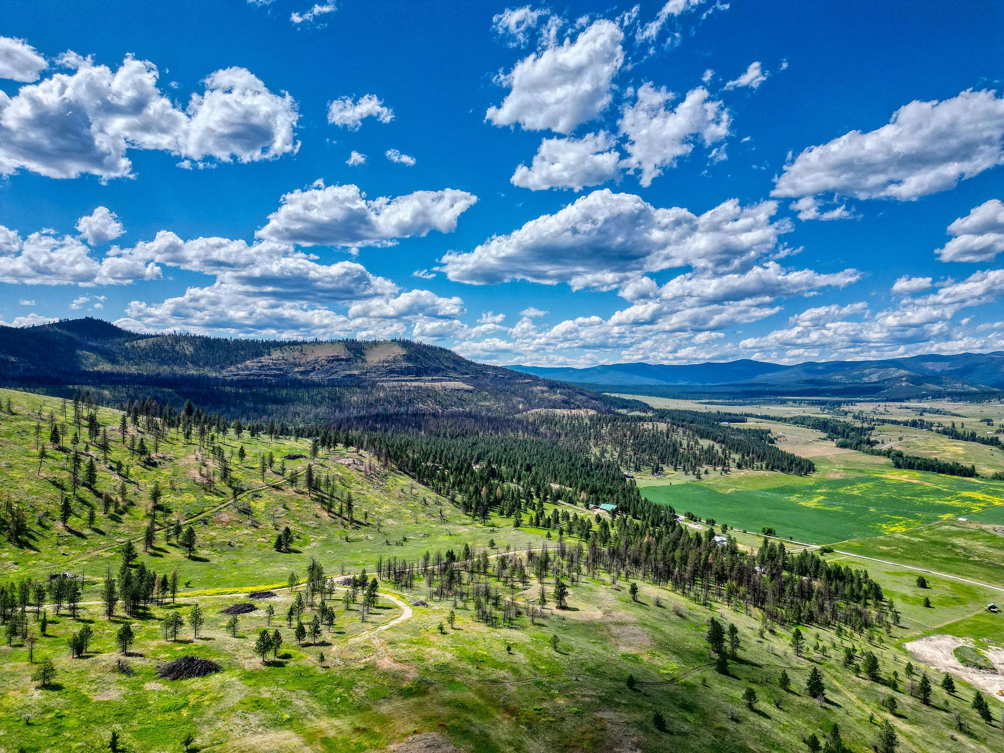 24826 Black Lake Trail